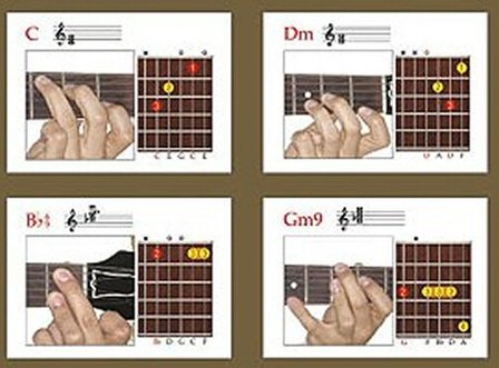 Encyclopedia Of Guitar Picture Chords In Colour (Book)