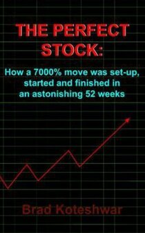 The Perfect Stock - Brad Koteshwar (Boek)