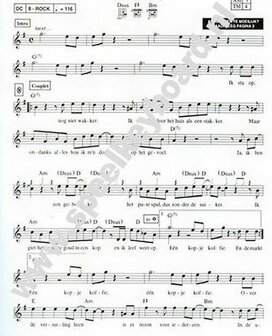 Mega Pop Songs 2 (Boek)