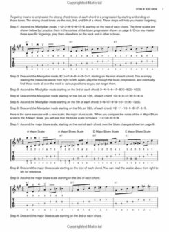 Sitting In Blues Guitar (Book/DVD)