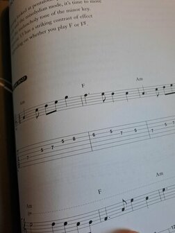Fast Forward - Blues Guitar (Book/CD)