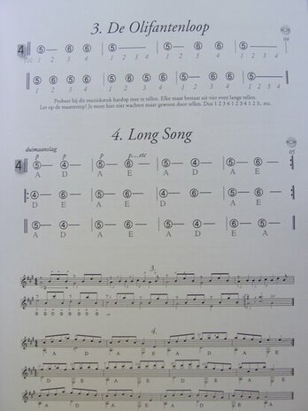 Introductiecursus Akoestische Gitaar (Boek/CD)