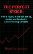 The-Perfect-Stock-Brad-Koteshwar-(Boek)
